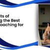 Best Online Coaching for IELTS